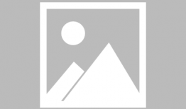 漫画斗牛犬,忠诚与勇气的象征