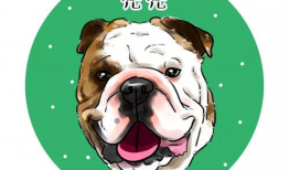 漫画斗牛犬,忠诚与勇气的象征